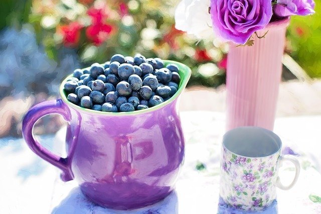 blueberry health benefits
