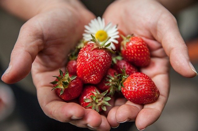 strawberry health benefits yum