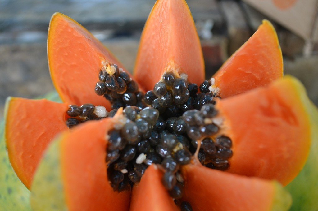 papaya healthy fruit