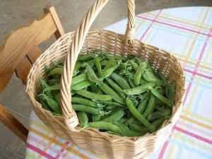 green peas in a basket